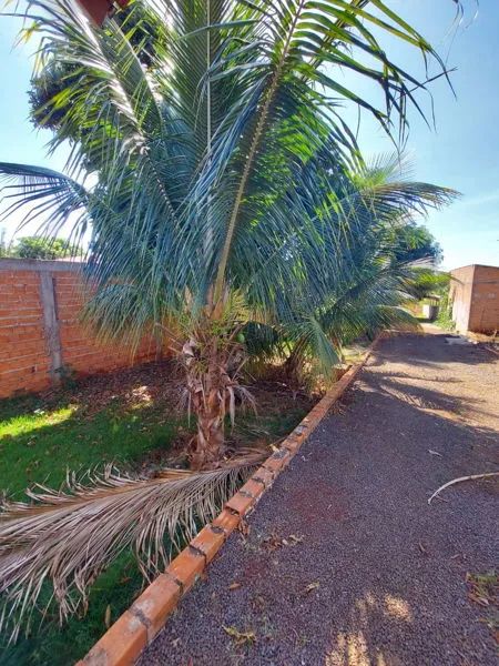 Zona Rural - Alvorada do Sul - Foto 5