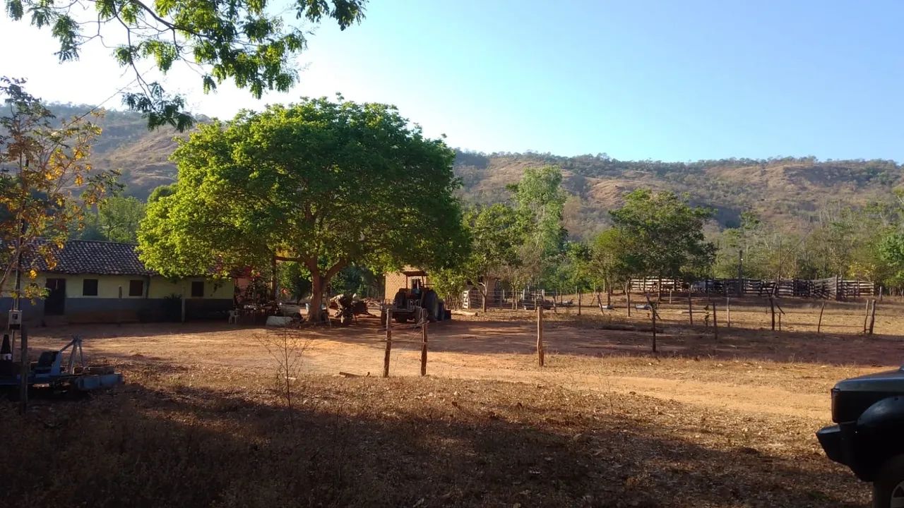 Fazenda em Silvanópolis -86 alqueires - Foto 4