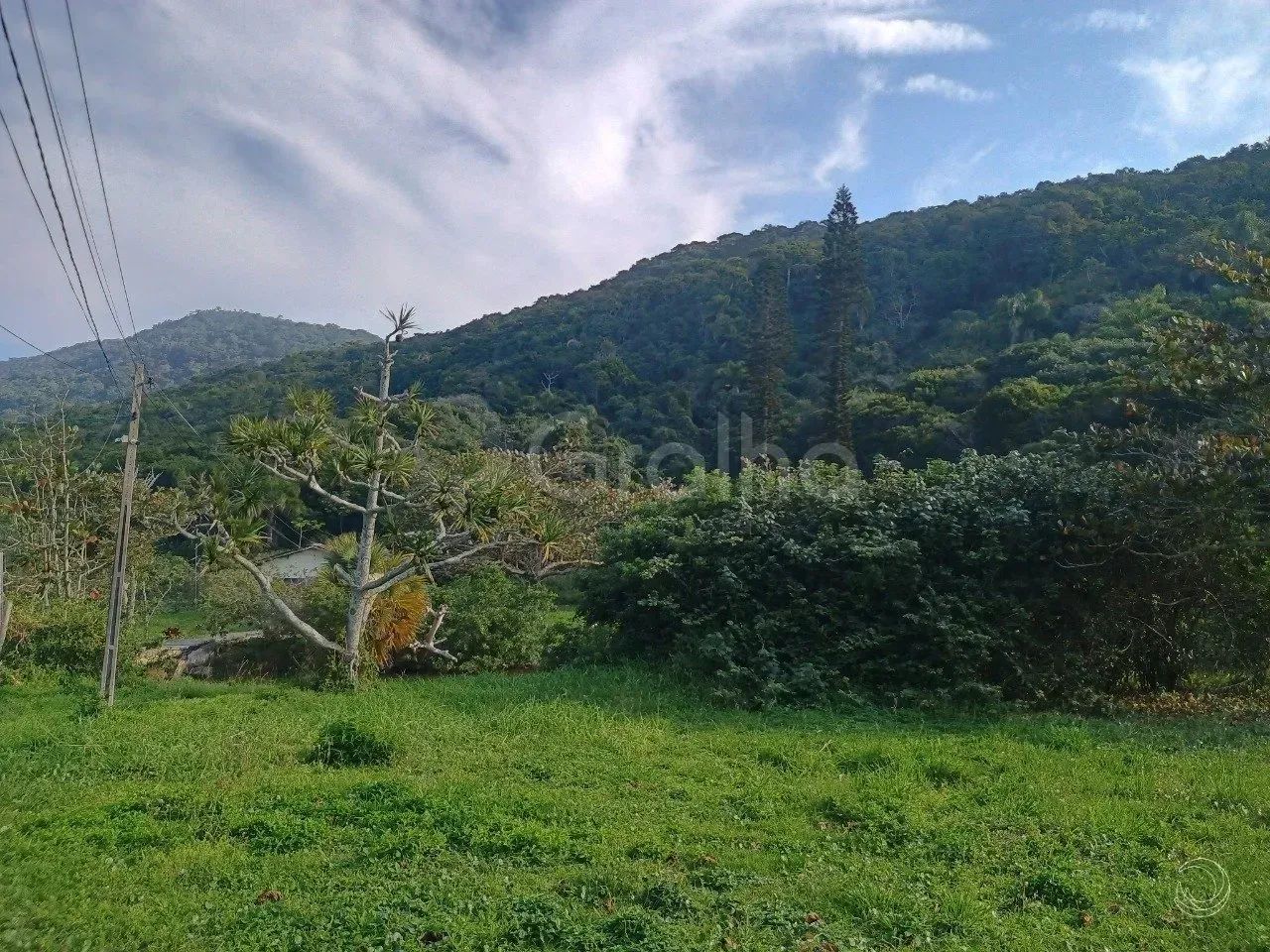 Imóvel para venda com 39707 metros quadrados em Praia Brava - Florianópolis - SC - Foto 2