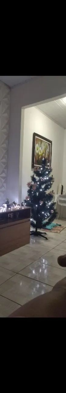 Árvore pinheiro tradicional 