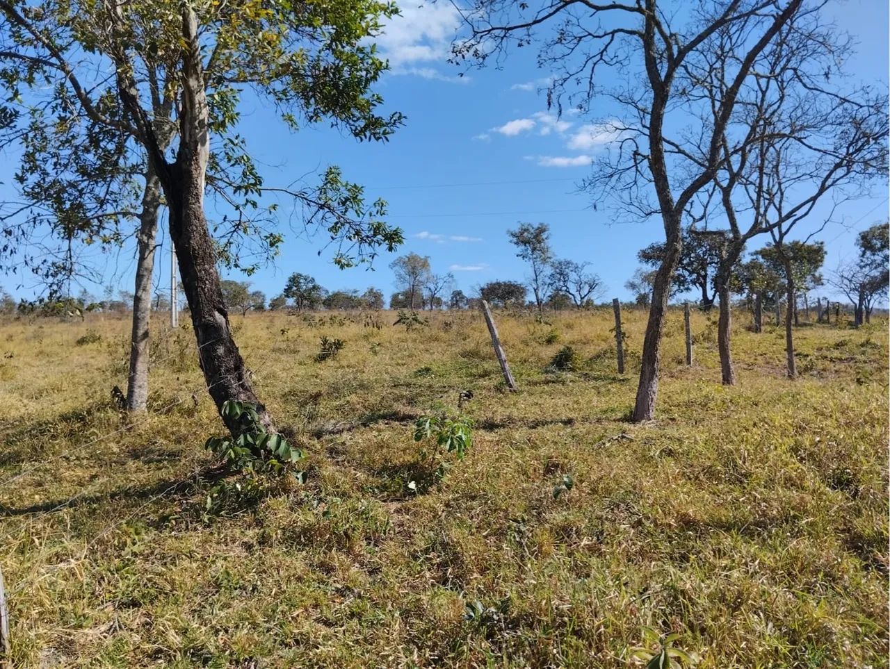 Fazenda Luziânia-go - Foto 4