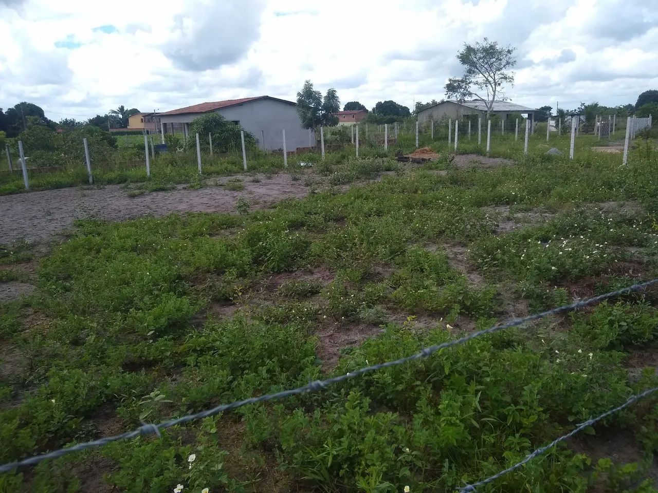 Terreno São Severino do Ramo - Paudalho. - Foto 2