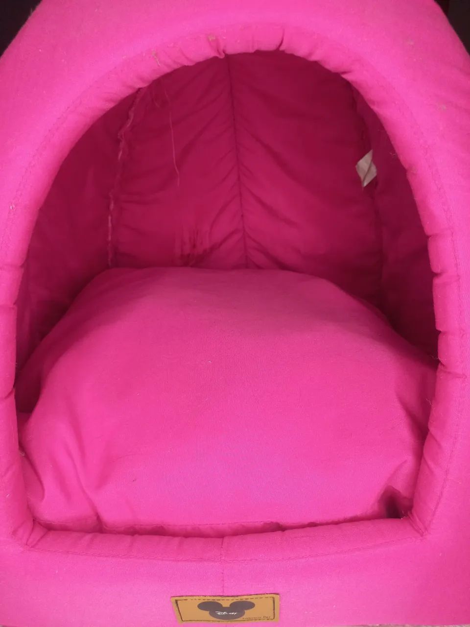 Caminha Toca para Pets - Foto 4