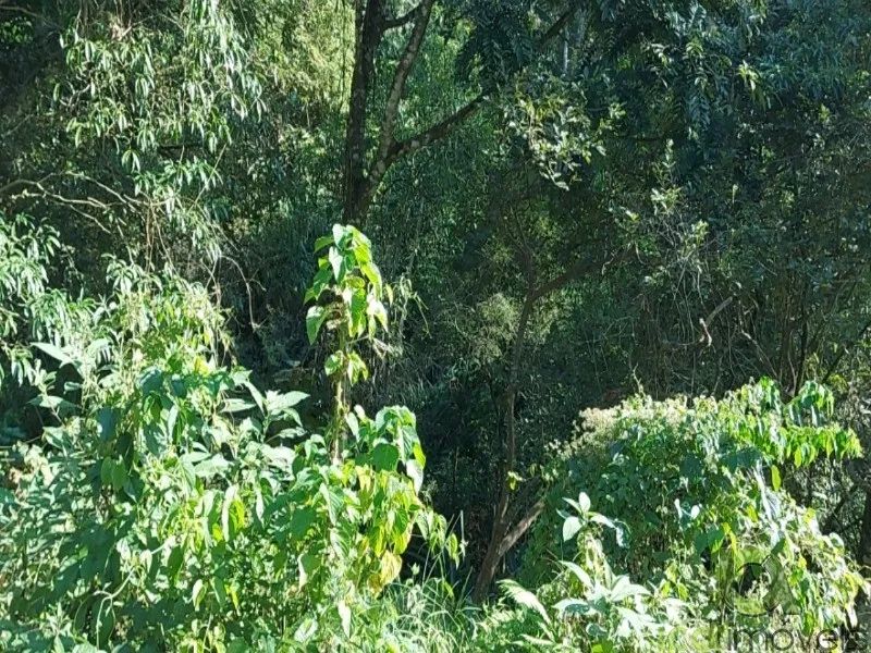 Vende-se terreno para cabanas e chalés, terreno a poucos kms de Florianópolis - Foto 3