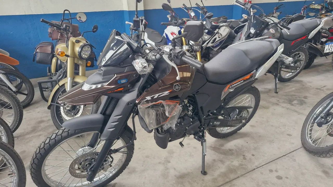 Yamaha XTZ250 lander  - Foto 3