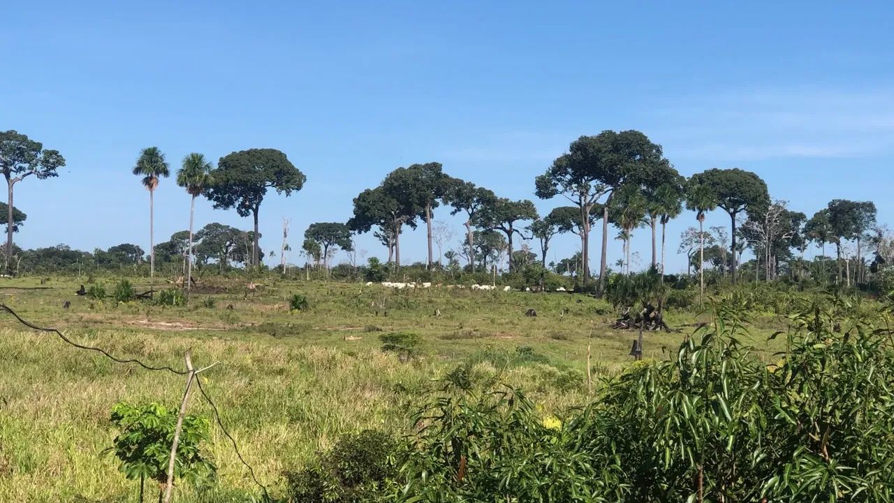 Fazenda diamante  - Foto 4