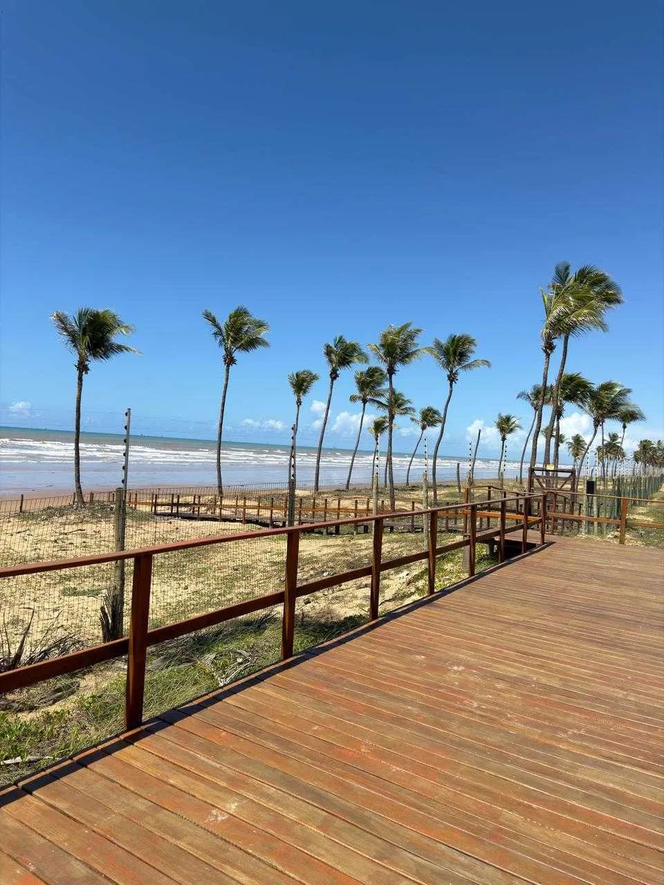 Mares Maluí, pé na areia, Barra dos Coqueiros [2850] - Foto 5
