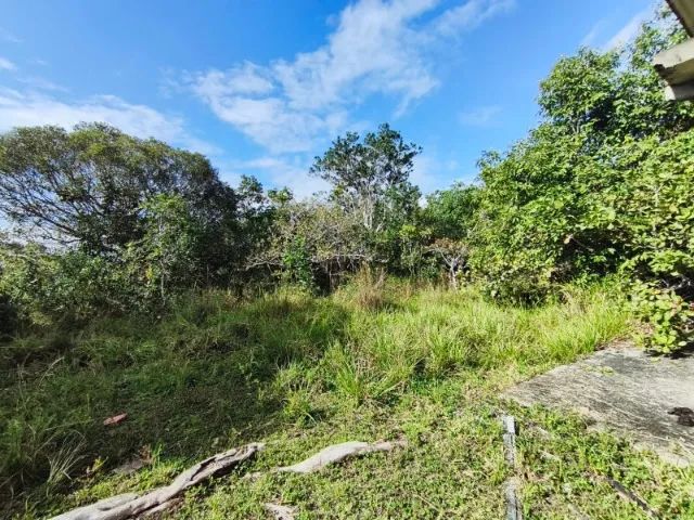 Sitio com 6 hectares em Itanagra