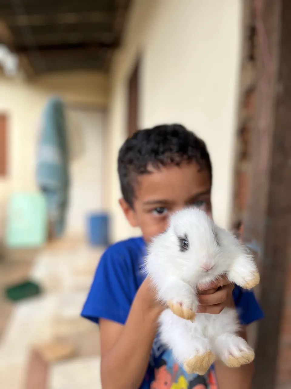 COELHOS