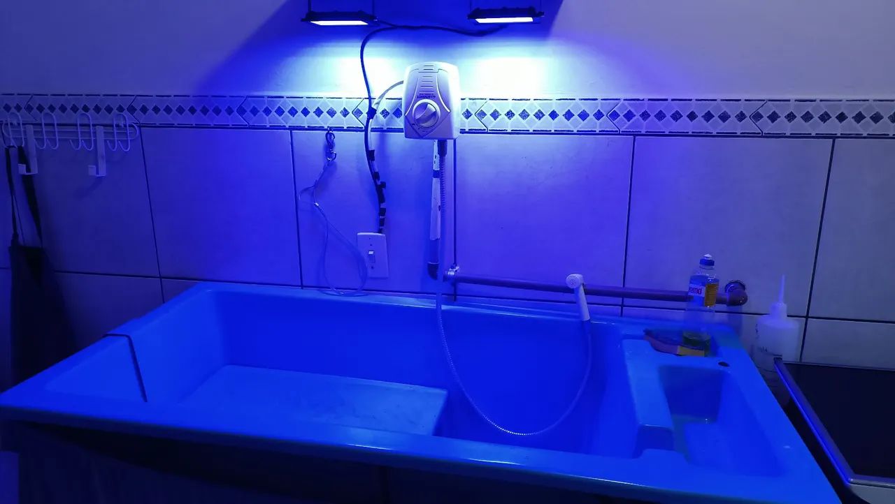Utensílios para banho e tosa