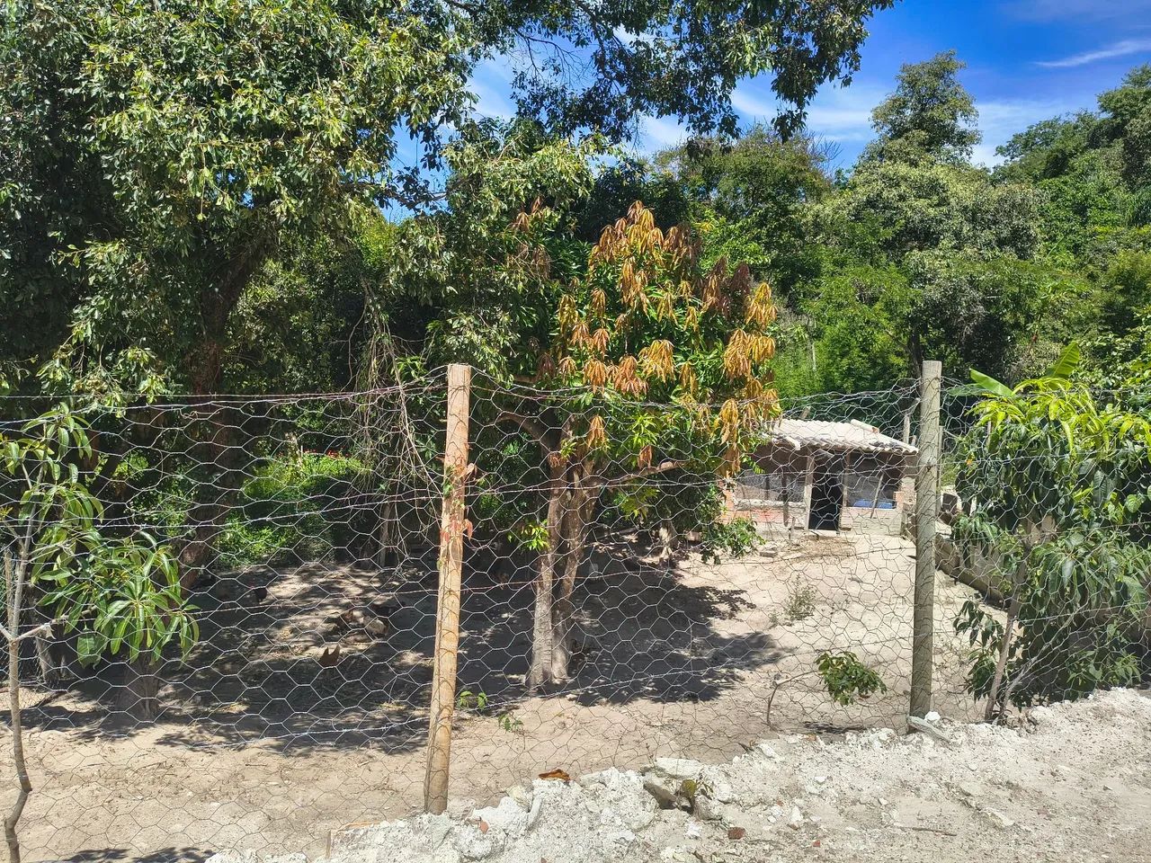 Vendo chácara Taquaraçu de Minas  - Foto 2