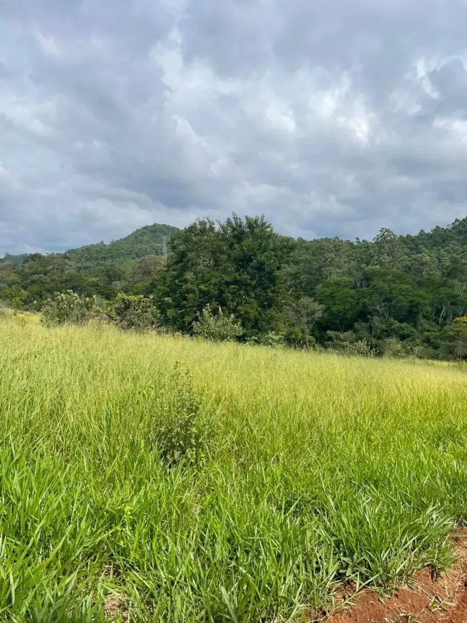 Compre seu terreno próximo a Terra Preta - Foto 4
