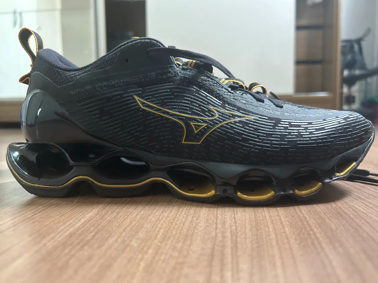 Mizuno prophecy 13