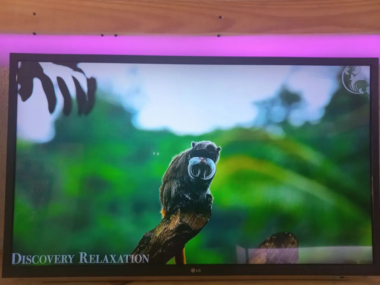 TV 47 polegadas normal ótima HDMI e vídeo game  - Foto 2