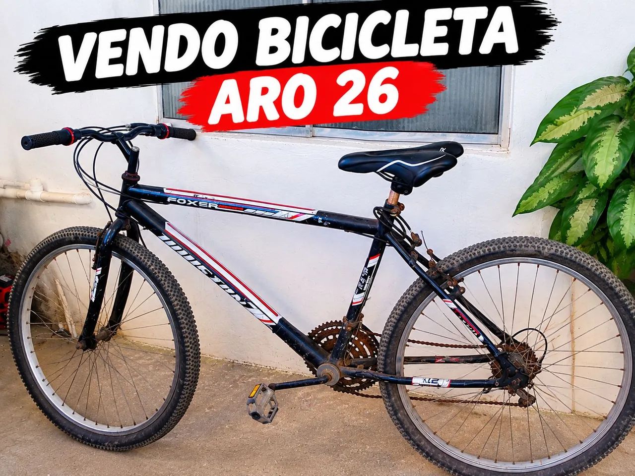 Bicicleta