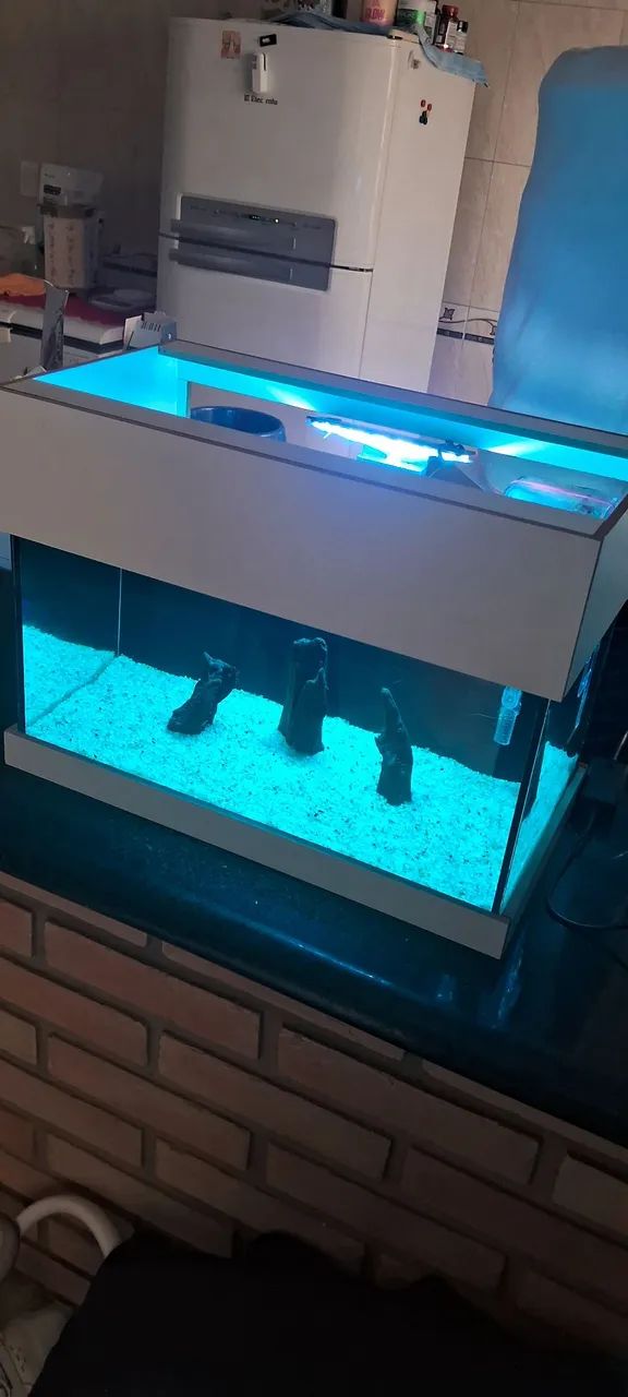 Aquario nano 40x20x20 - Foto 4