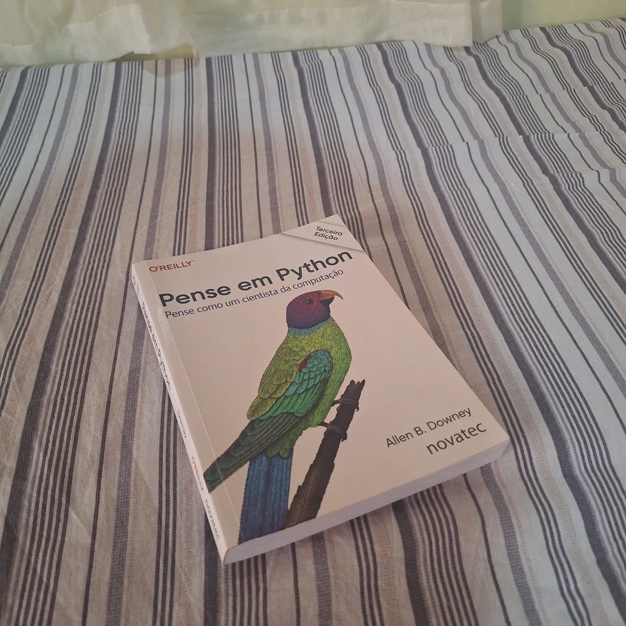 Livro - Pense em Python 