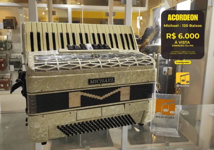 Acordeon 120 baixos Michael Branca Perolada