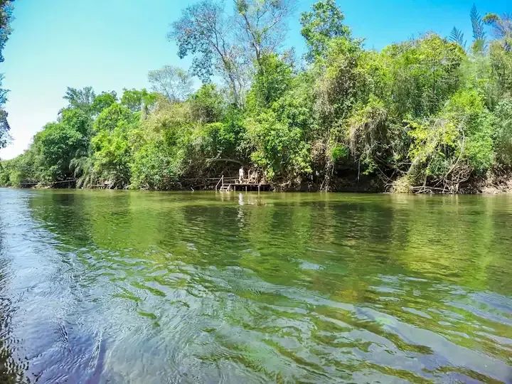 Chácara de 4 ha com bosque, trilhas e decks no Rio Formoso, em Bonito - Foto 2