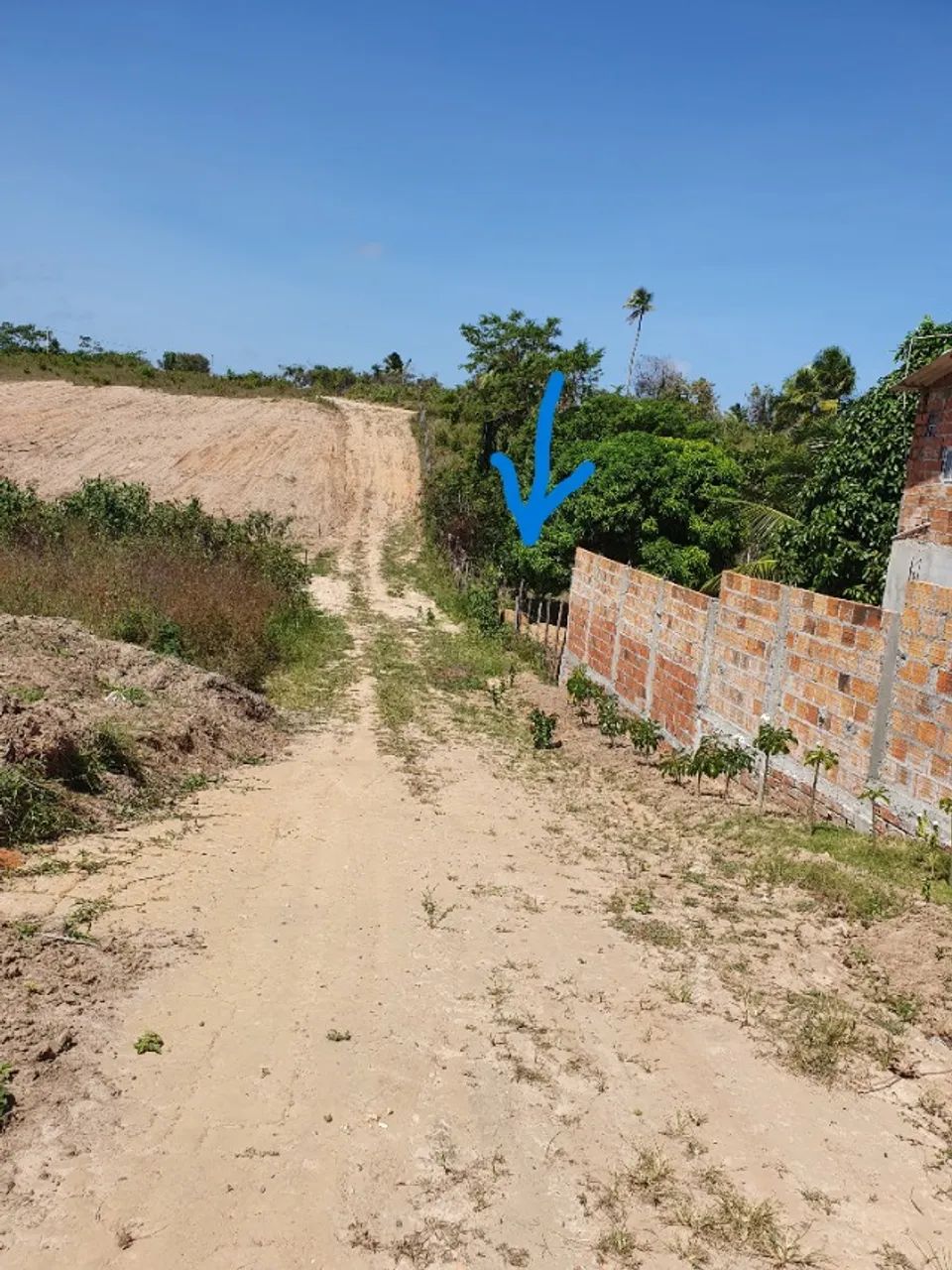 Foto - Salvador - Canabrava