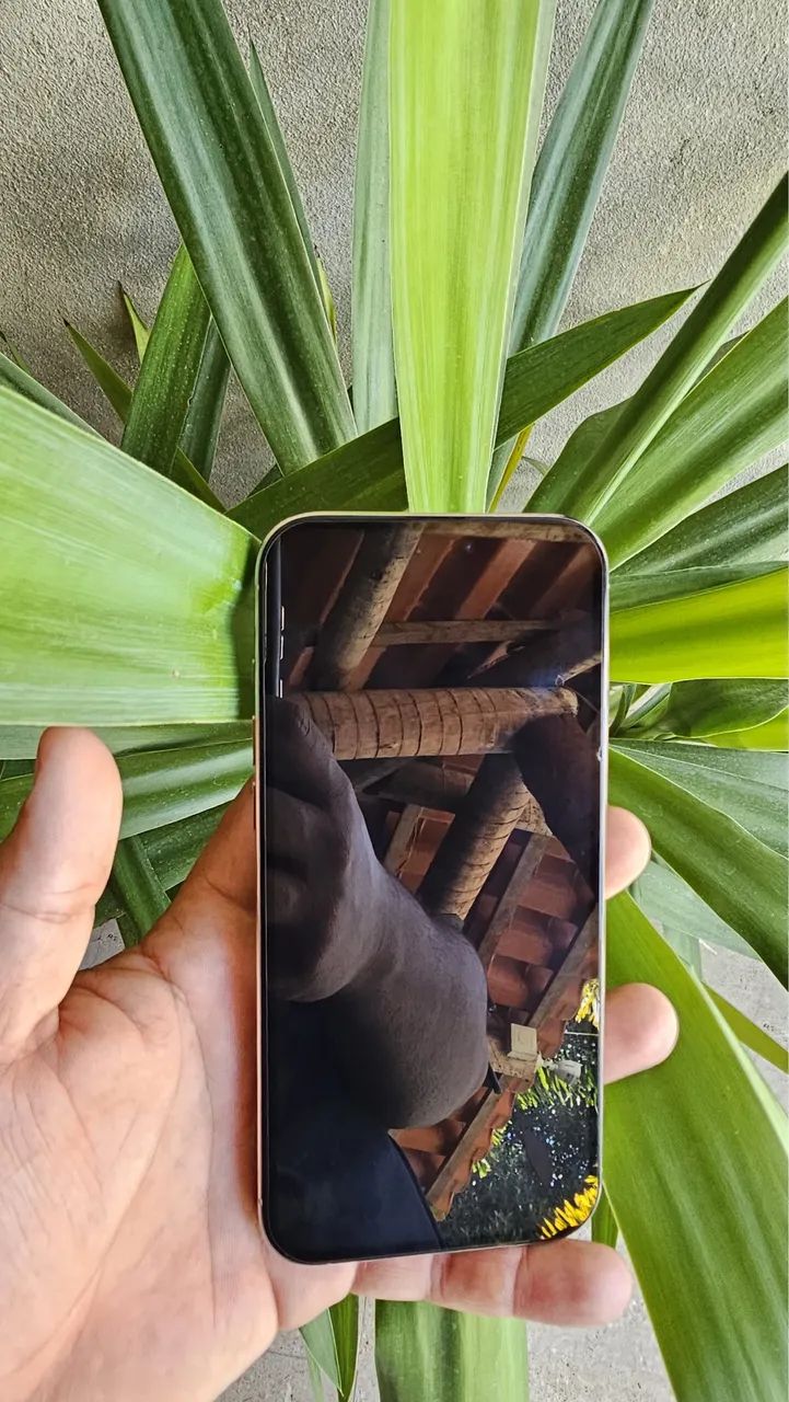 16 pro Max  - Foto 3