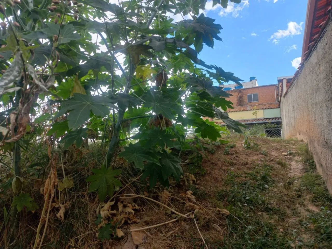 Lote / Terreno à venda em Belo Horizonte - Foto 5