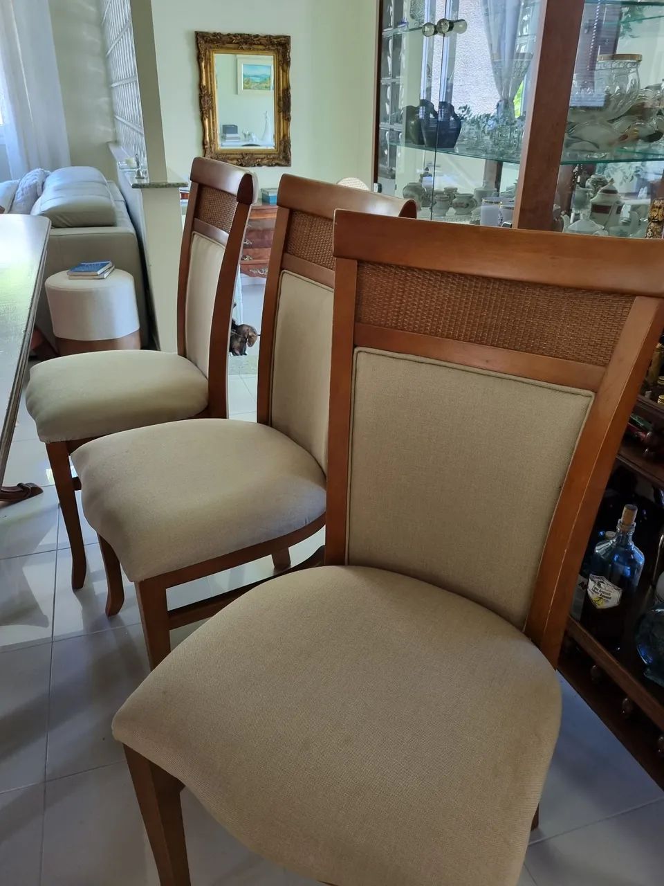  6 Cadeiras de Jantar 