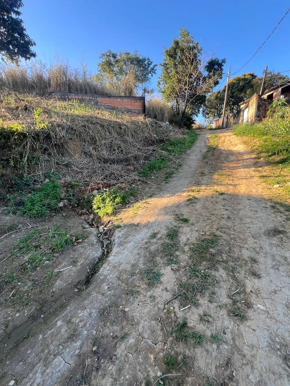 Terreno 