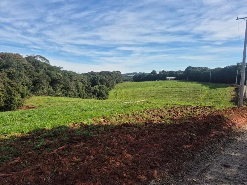 ***ÁREA RURAL NO CAMPESTRE*** - Foto 4