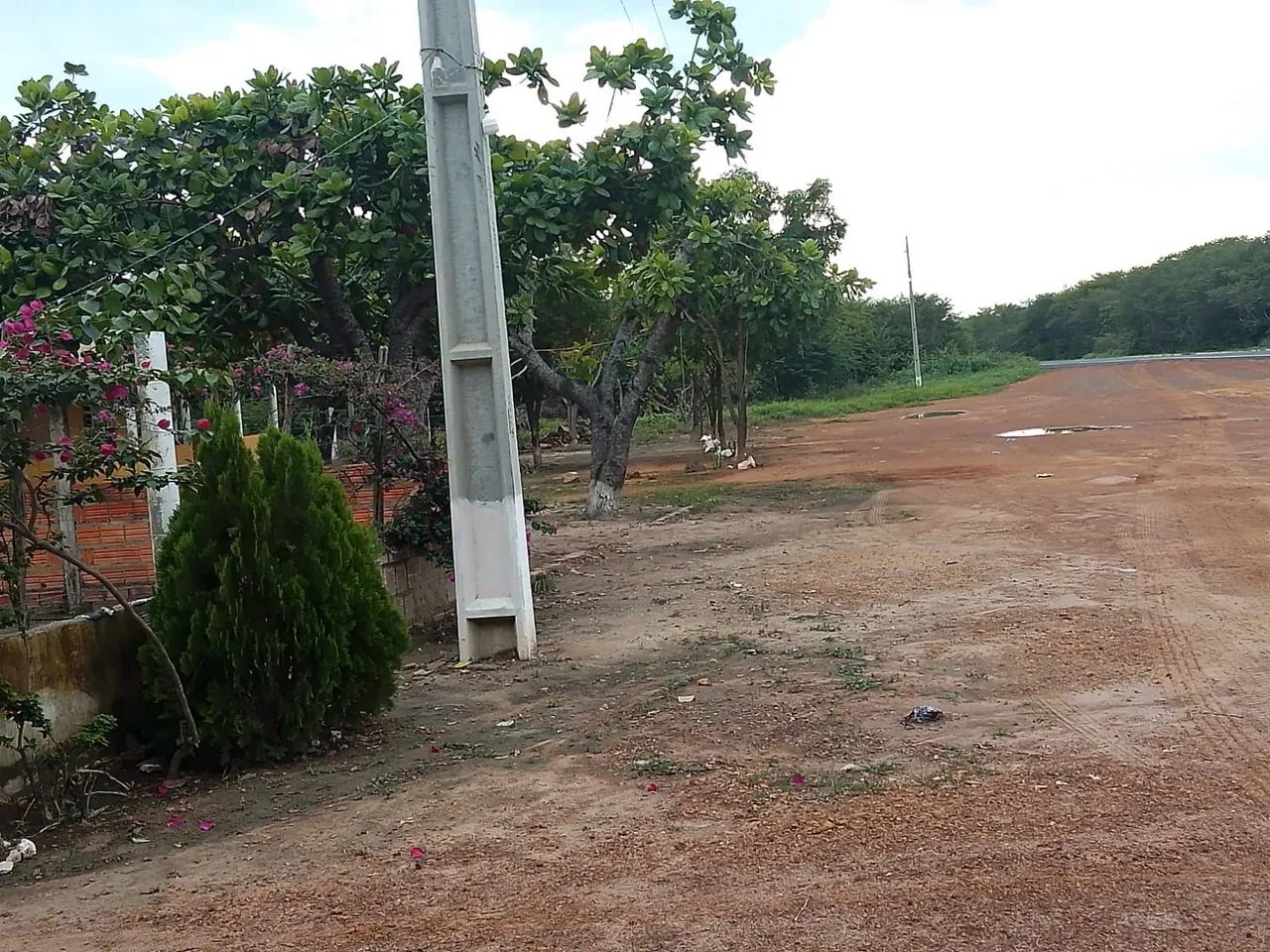 Vende-se esta chácara - Foto 5