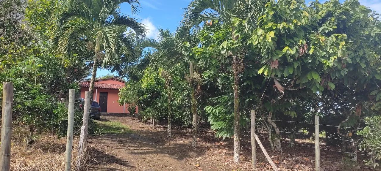 Foto - Santo Antônio de Jesus - Centro