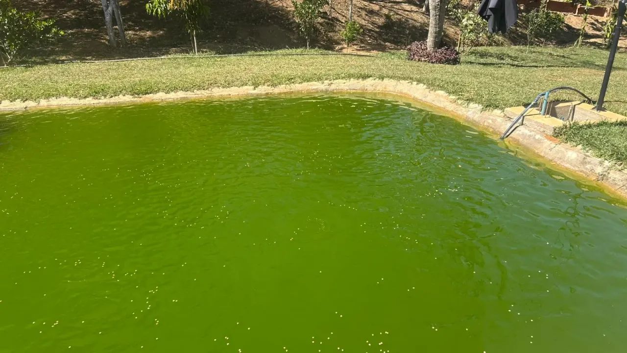 CHACARA GAMELEIRA DE GOIAS - Foto 4