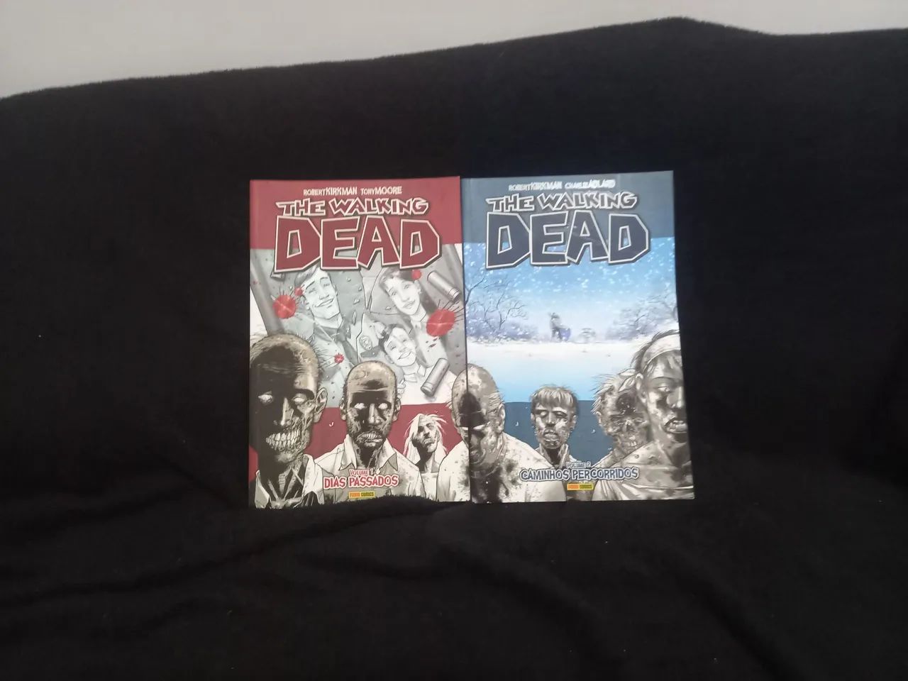HQs de the Walking dead volumes 1 e 2