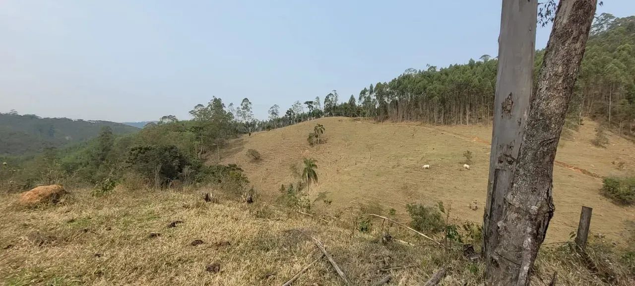 sitio 4 alqueires com laguinho em Piracaia SP - Foto 5