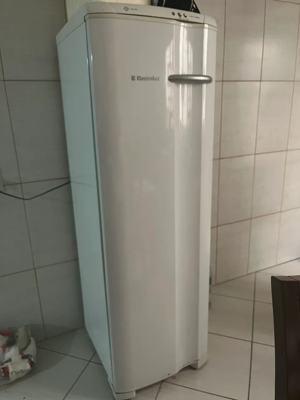 Freezer Electrolux