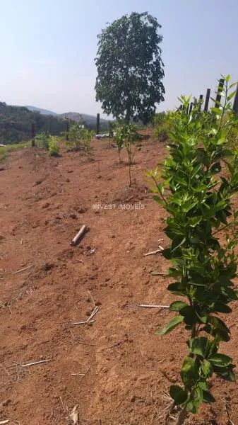 Terreno - Belmiro Braga MG - Foto 5