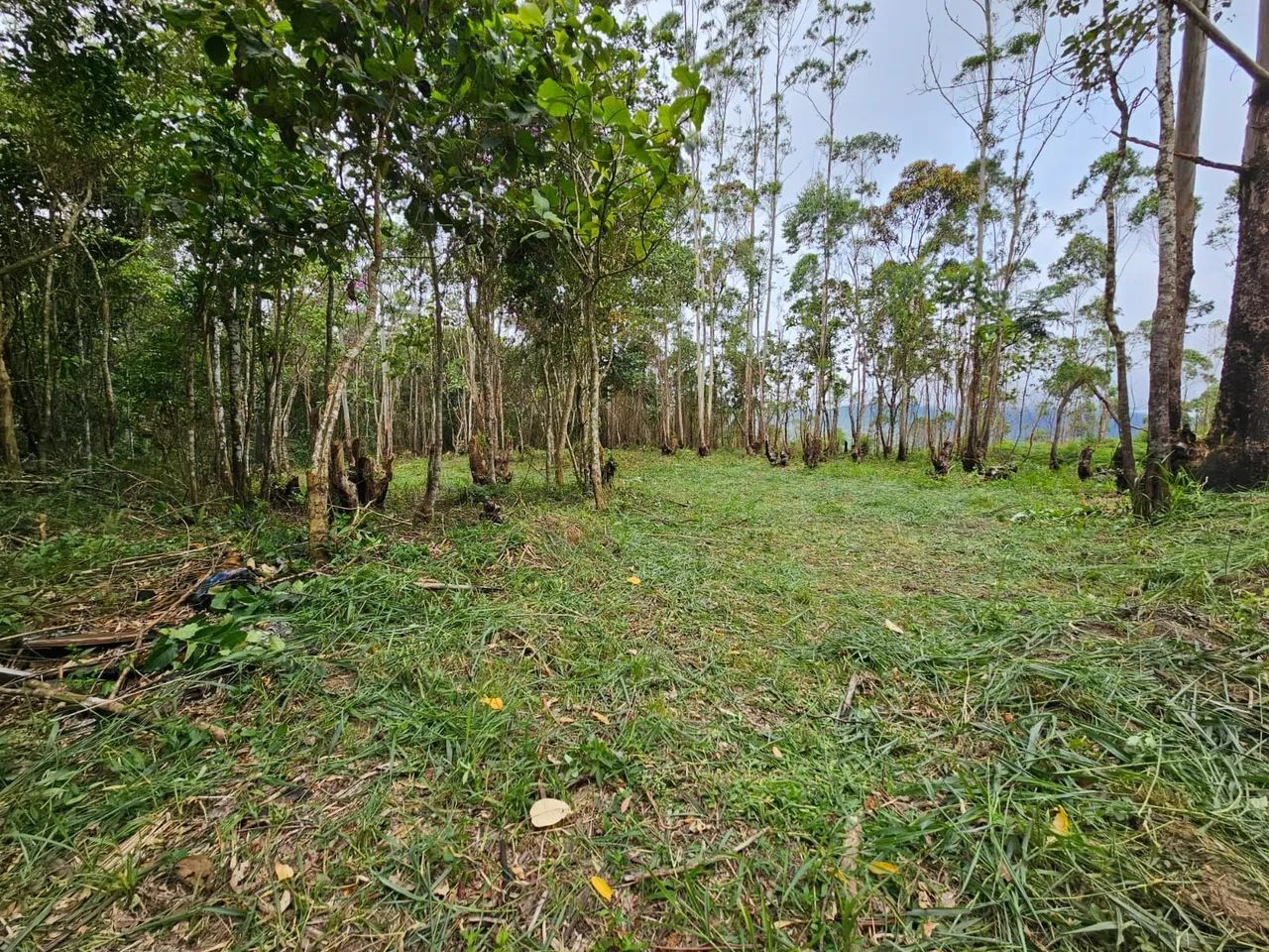 Sitios documentados em Taiaçupeba Mogi das Cruzes  - Foto 3