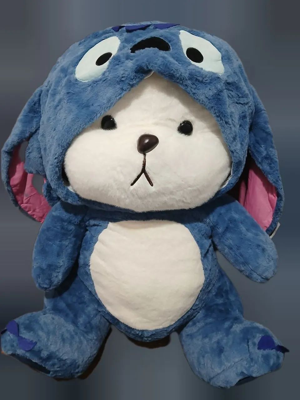 Ted com roupa do stitch 