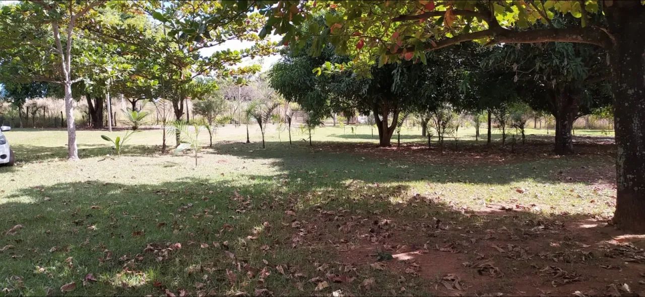 Vende chácara na Rota do Cavalo - Foto 4