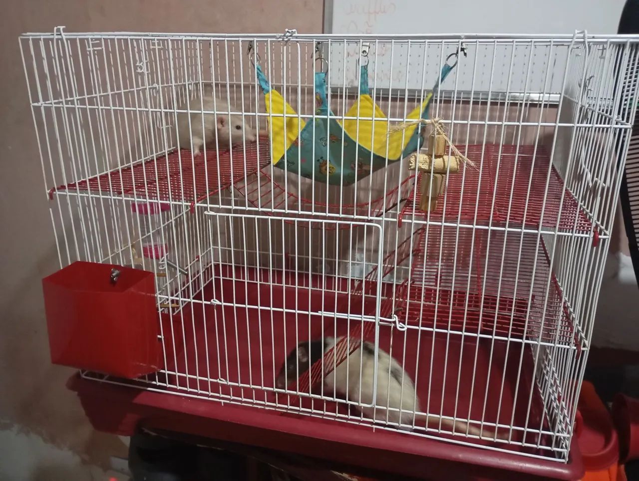 Vendo gaiola para rato twister