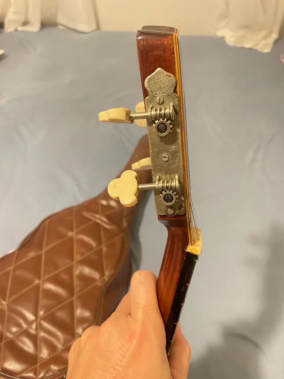 Del Vecchio（デルベッキオ）ブラジル　カヴァキーニョ ピックアップ付き Del Vecchio（デルベッキオ）ブラジル カヴァキーニョ ピックアップ