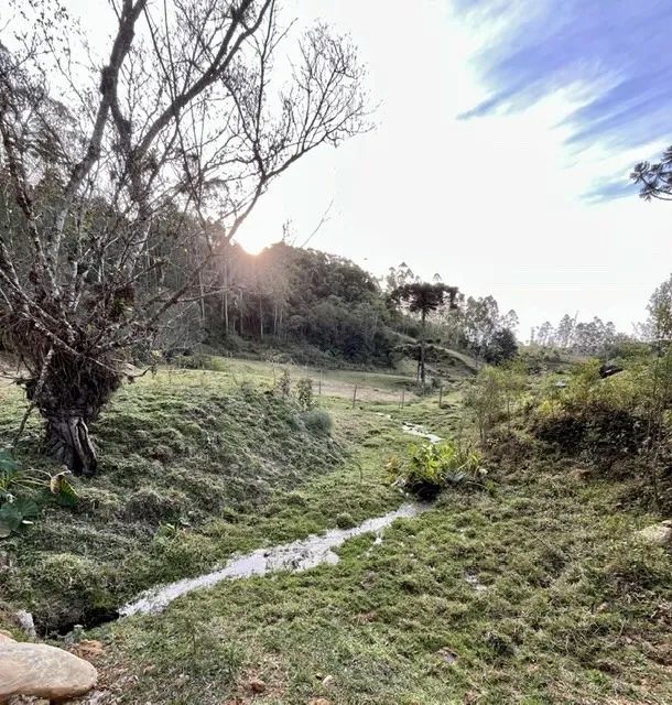Pedacinho do Paraíso em São Pedro de Alcântara - S.C.