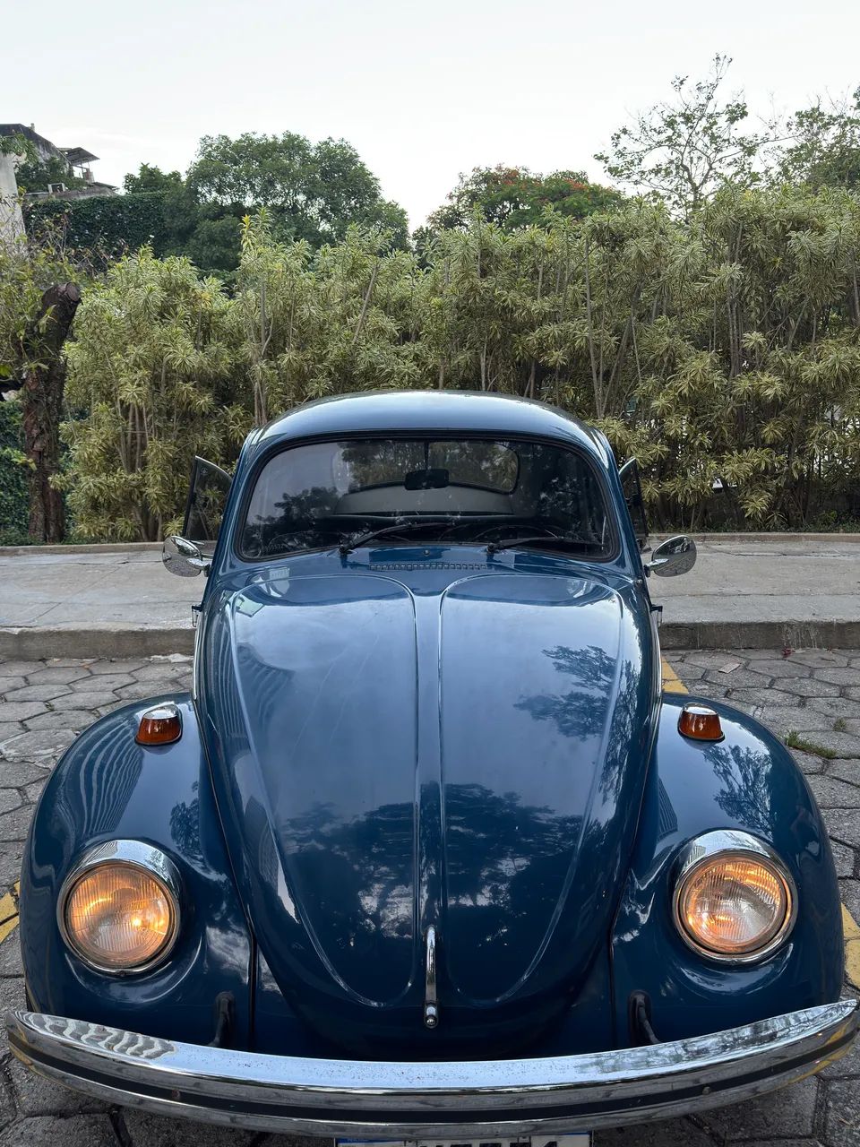 Volkswagen Fusca Fusca (gasolina) 1974