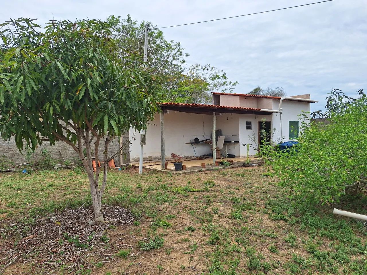 Foto - Vitória da Conquista - Felícia