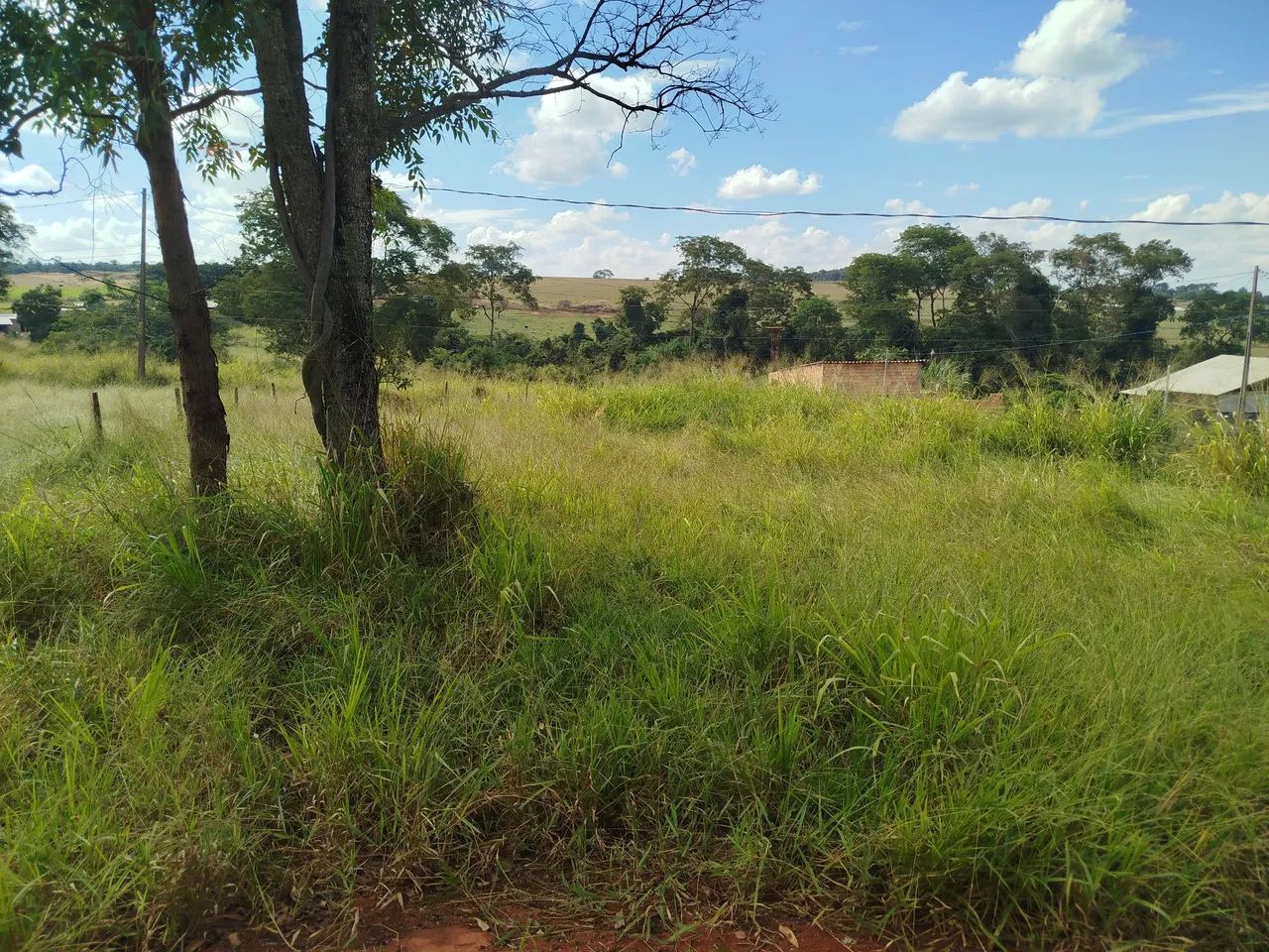 Chácara em Bonfinópolis urgente  - Foto 3