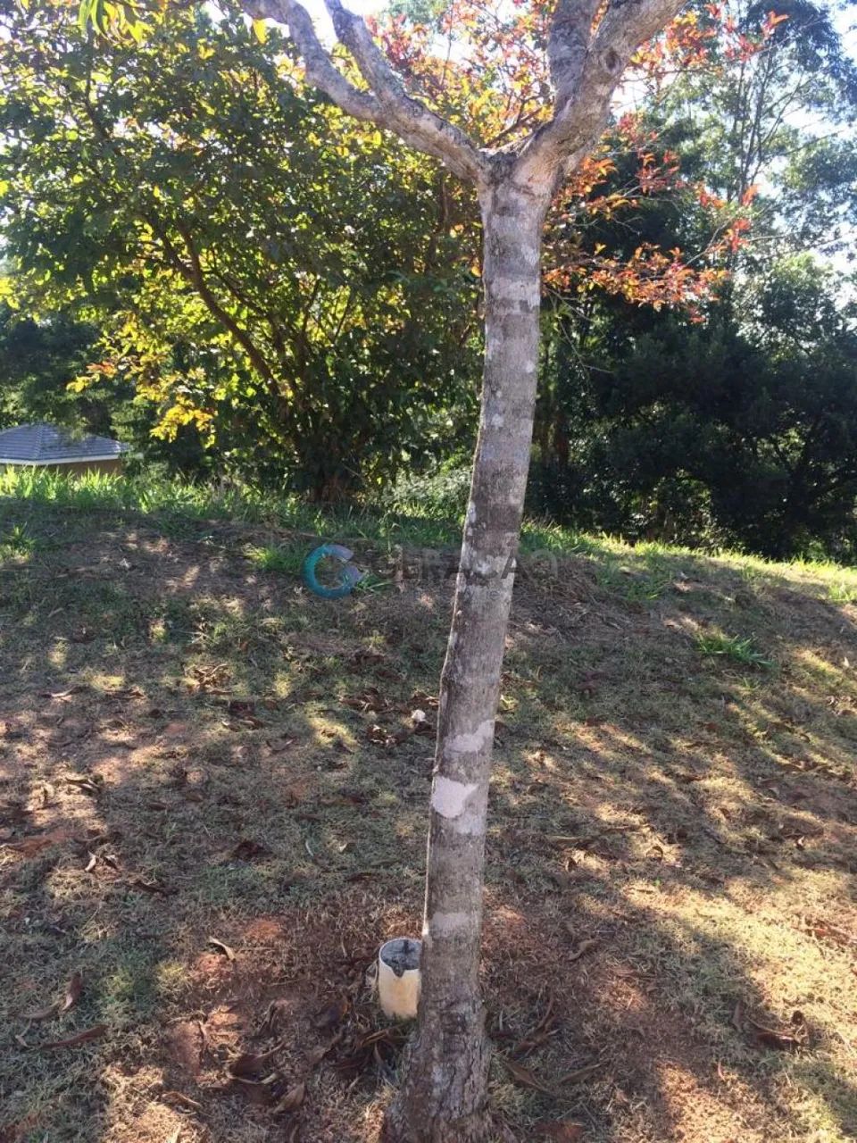 Terreno e Área Condomínio Residencial em Jambeiro - Foto 3