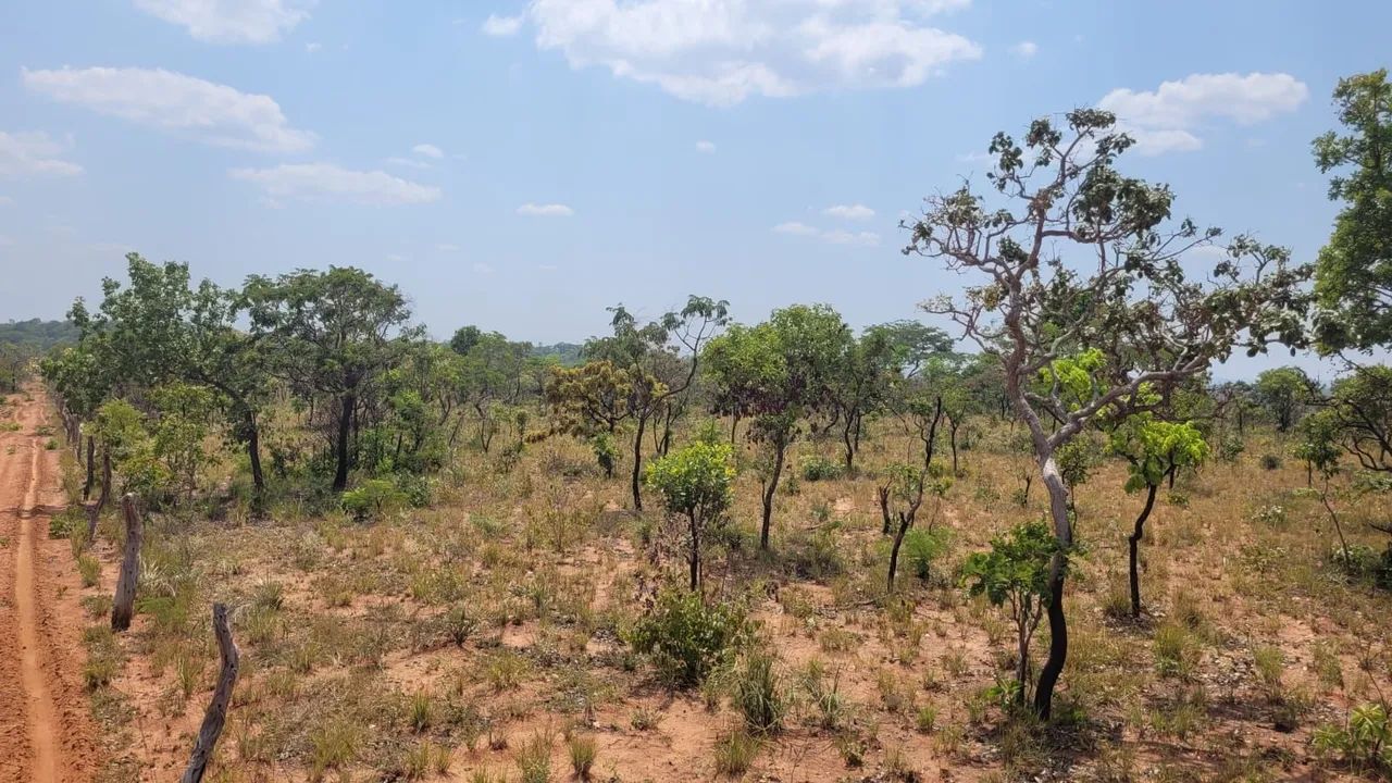 Grande Fazenda à Venda - Ideal para Agricultura e Pecuária - Foto 2