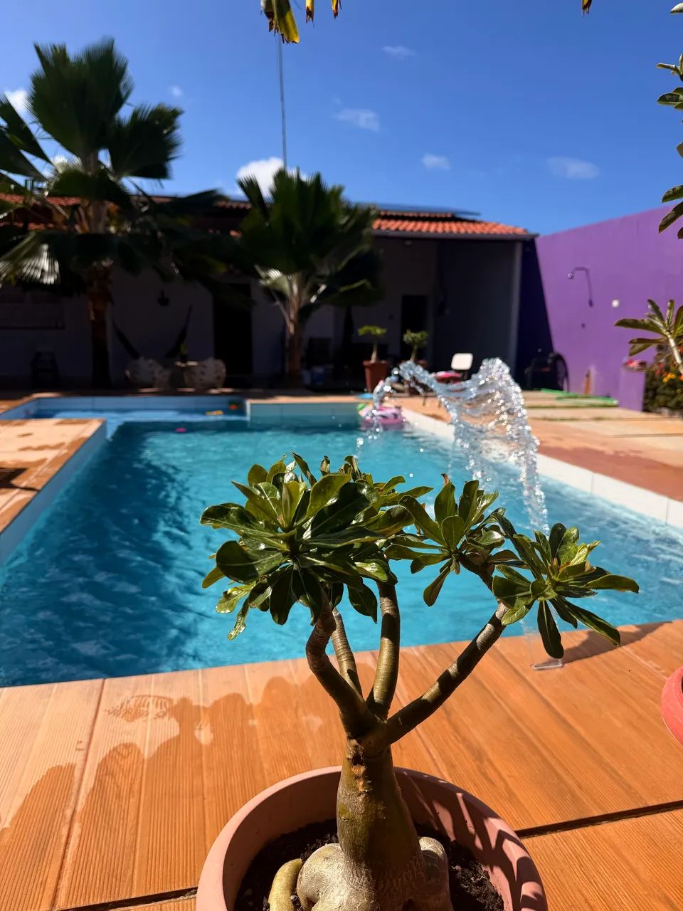 Aluguel de casas por temporada na Praia do Abais  - Foto 4