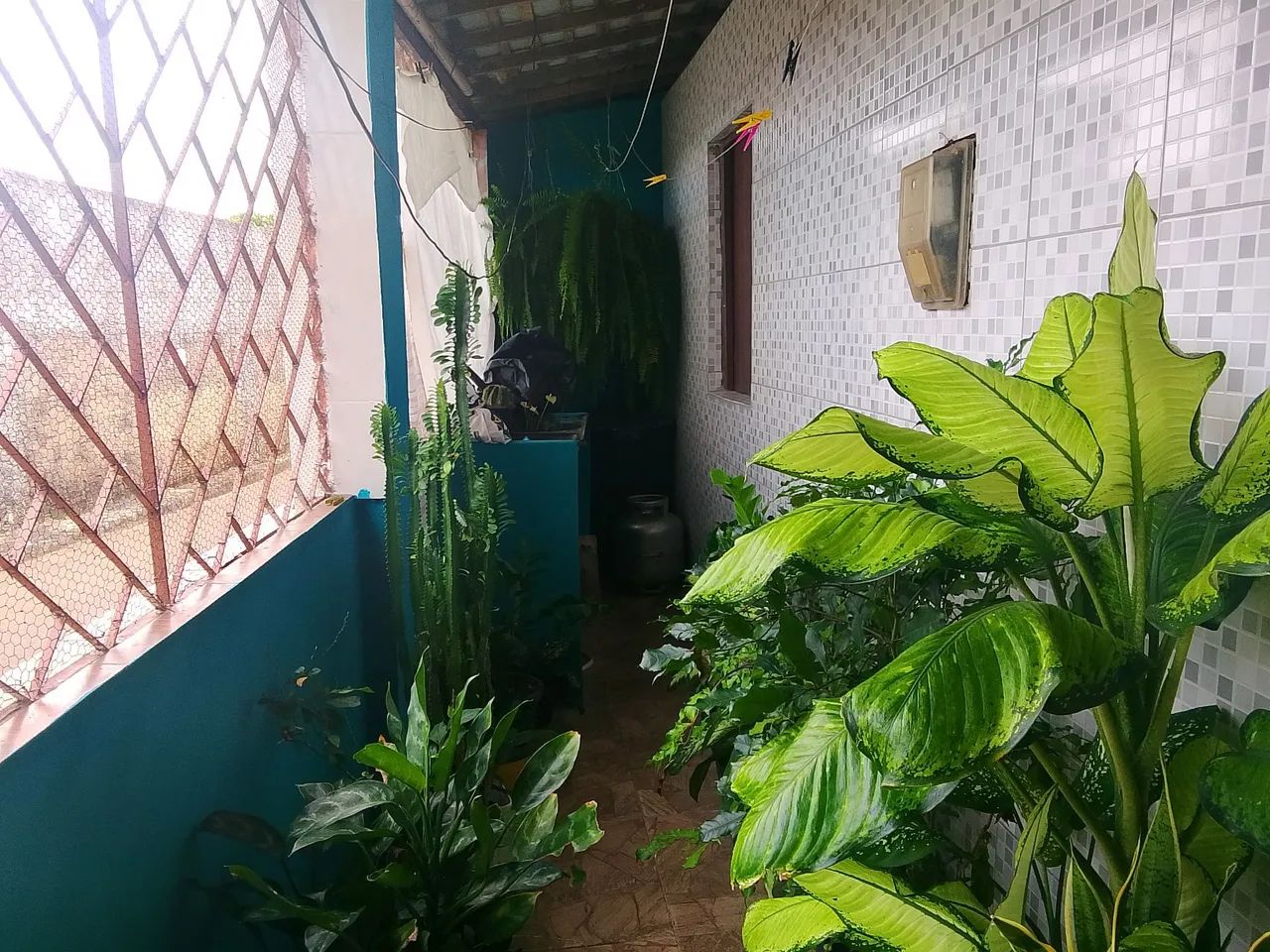Vendo casa em capela - Foto 3