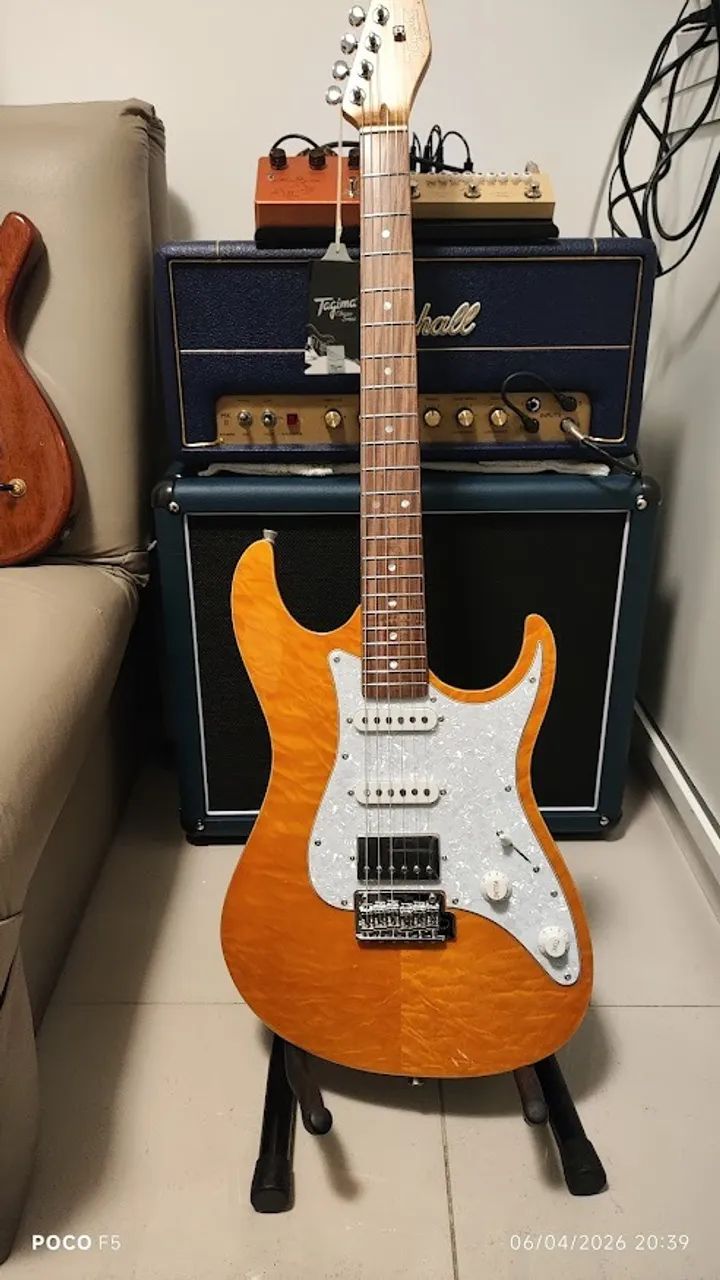 Guitarra Tagima Stella DW